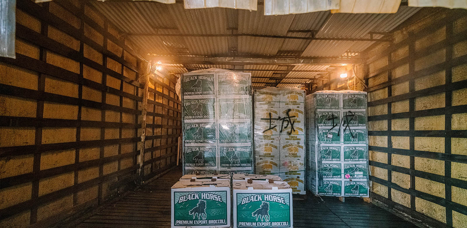 啟照 現場冷凍庫環境